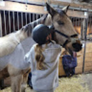 Meet your Posher, Charlotte